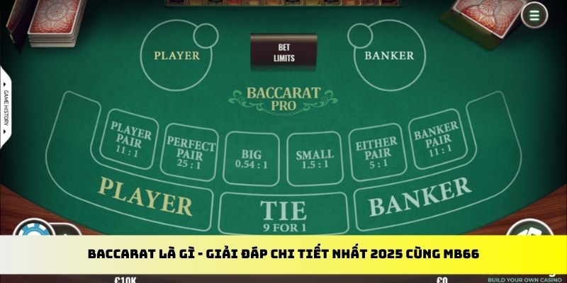 pk88 gà chọi cu cần