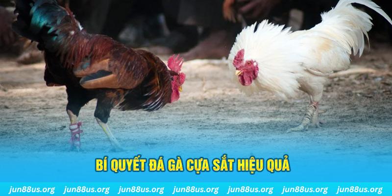 pk88 xin 1 slot là gì
