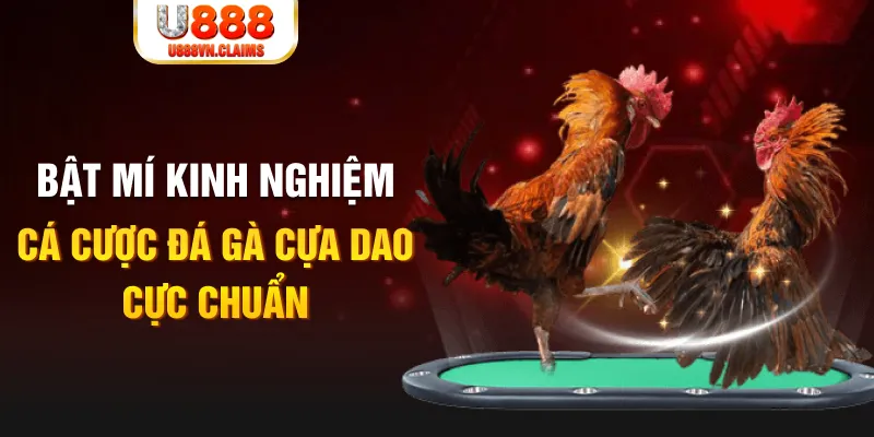 pk88 tỷ lệ cá cược châu á là gì