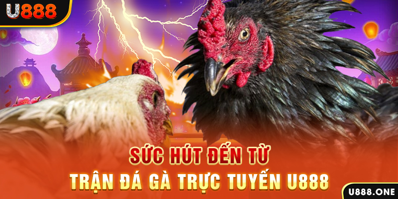 pk88 nổ hũ b29 là gì