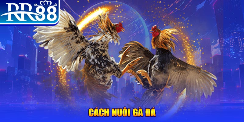 pk88 xổ số an giang