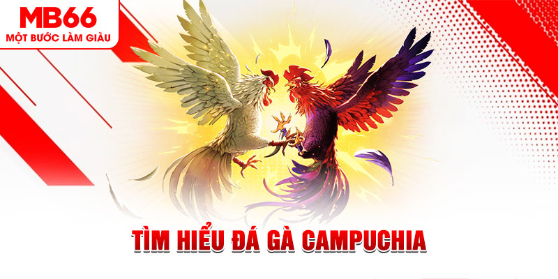 pk88 đá gà trực tiếp