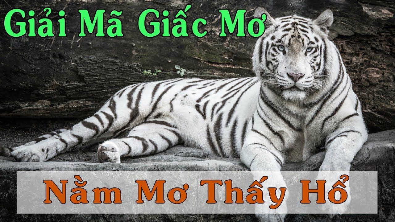 pk88 WM Trực Tuyến