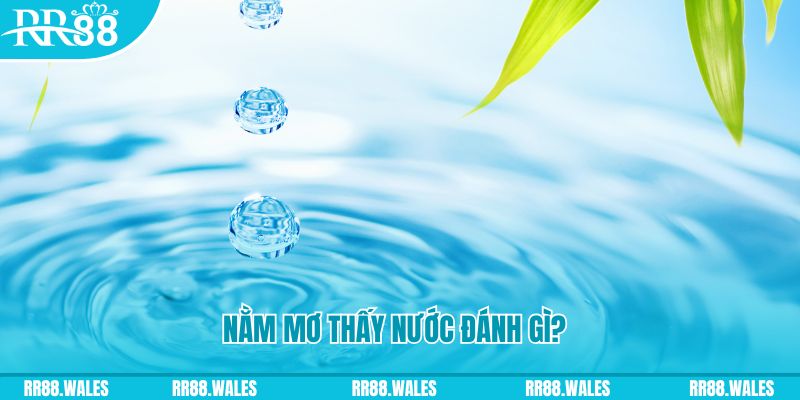 pk88 TP Bắn cá