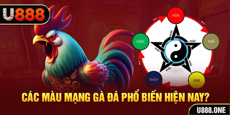 pk88 trực tiếp đá gà 88