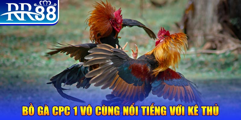 pk88 game máy bay nổ hũ