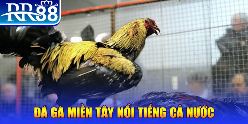 pk88 JILI Game Bài 3d