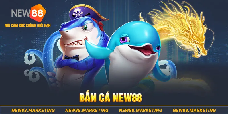 pk88 ban ca xeng 2