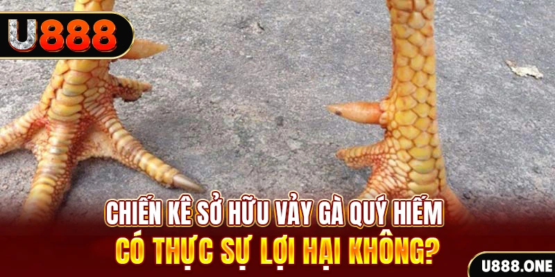 pk88 nohu .mx nổ hủ là gì