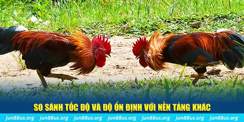 pk88 đá gà hôm nay