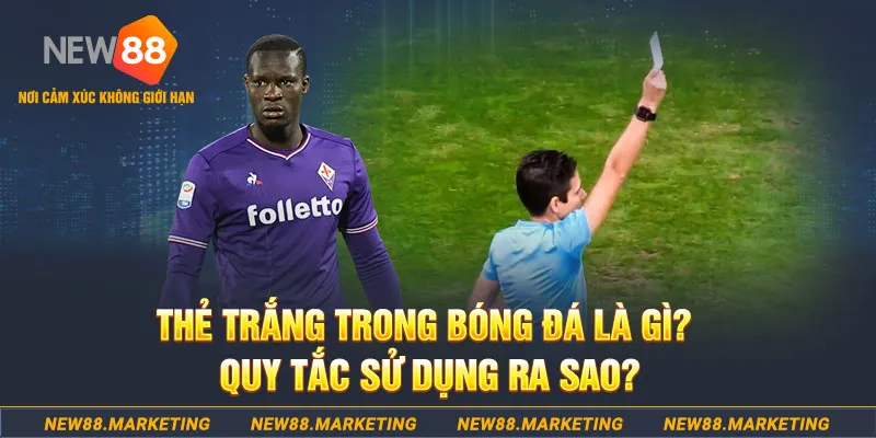 pk88 gà chọi mộc hóa