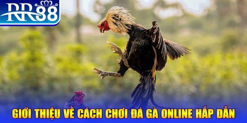 pk88 game nổ hũ rút tiền mặt là gì