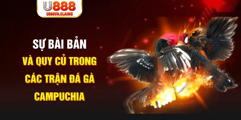 pk88 YGR Điện Tử