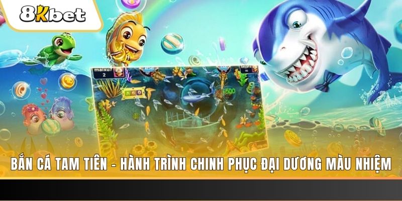 pk88 xổ số bình định