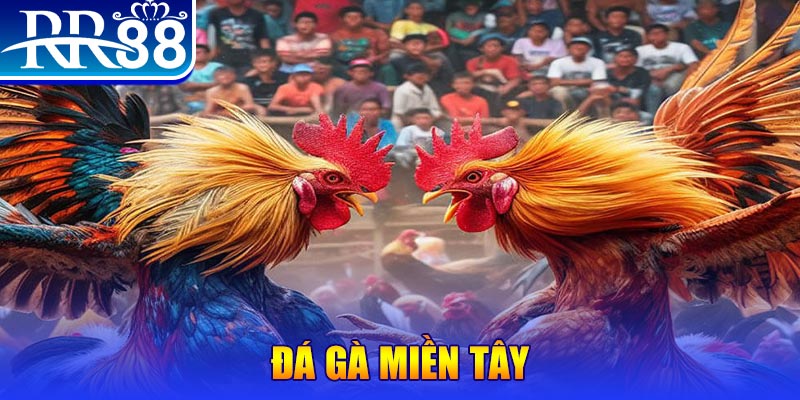 pk88 đăng nhập nổ hũ