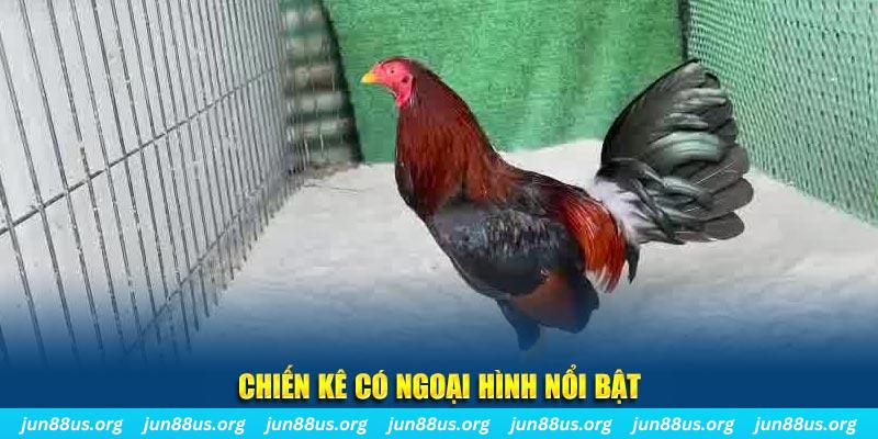pk88 chạy quảng cáo cho game bài bị phạt như thế nào
