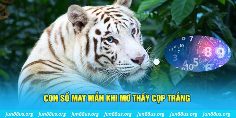 pk88 đá gà trực tiếp 88